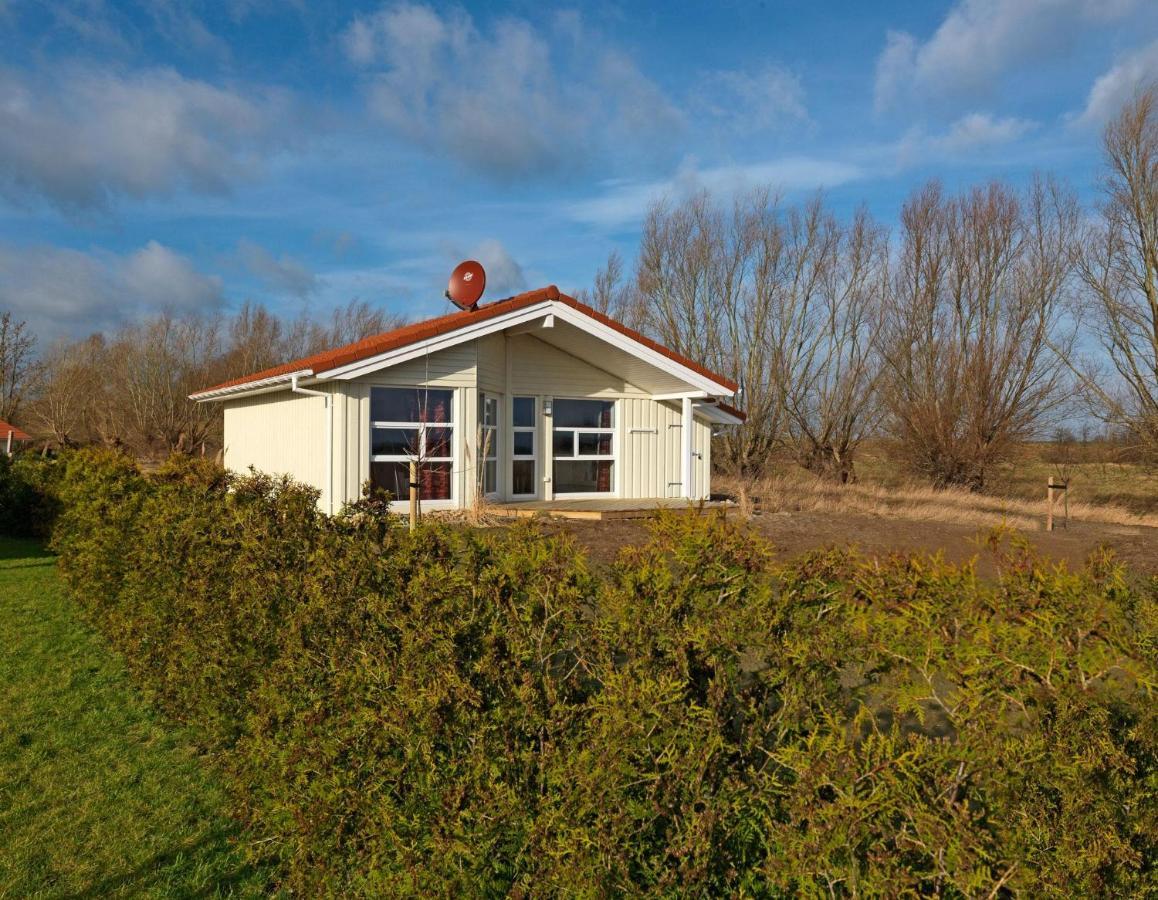 Daenische Ferienhaeuser Am Salzhaff Haus Vogelparadies Poel Exterior foto